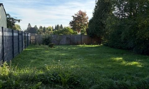 Garten 1