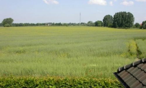 Aussicht